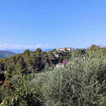 Olive Grove Retreat *